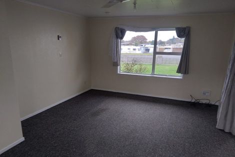 Photo of property in 102 Arapuni Street, Putaruru, 3411