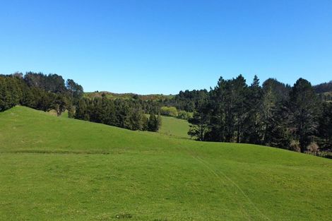 Photo of property in 97d&f Hillcrest Road, Kaikohe, 0405