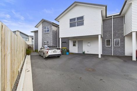 Photo of property in 20u4 Jones Crescent, Melville, Hamilton, 3206