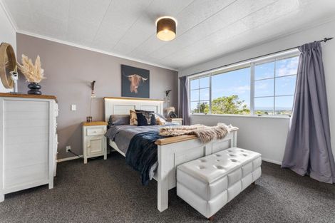 Photo of property in 37 Fraser Drive, Feilding, 4702