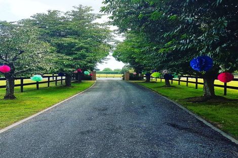 Photo of property in 161 Hautapu Road, Pukemoremore, Cambridge, 3493
