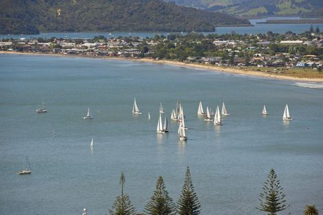Photo of property in 43 Aquila Drive, Whitianga, 3510