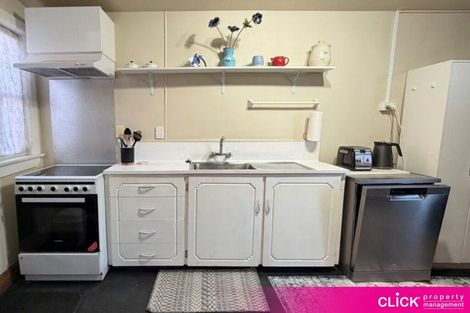 Photo of property in 17 Haig Street, Mornington, Dunedin, 9011