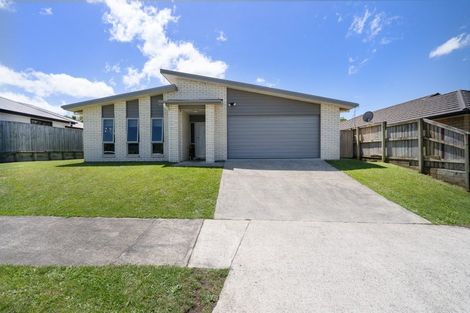 Photo of property in 30 Patatee Terrace, Baverstock, Hamilton, 3200