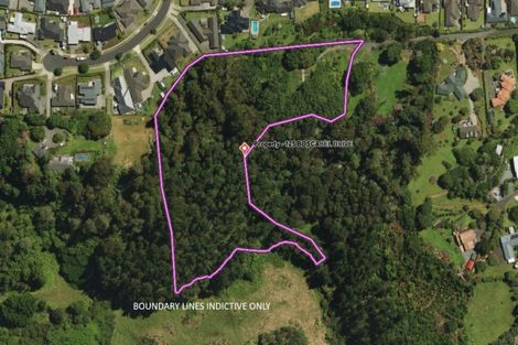 Photo of property in 125 Boscabel Drive, Ohauiti, Tauranga, 3112