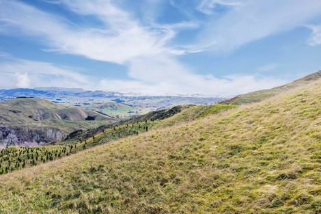 Photo of property in 638 Old Hill Road, Porangahau, 4291