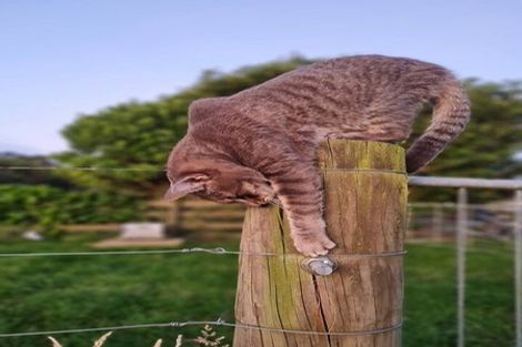 Photo of property in 350 Horokiwi Road, Horokiwi, Wellington, 5016