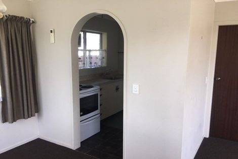 Photo of property in 47 Rimu Street, Maeroa, Hamilton, 3200