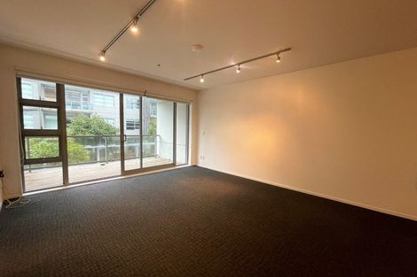 Photo of property in Revolucion Apartments, 302n/28 Torrens Terrace, Mount Cook, Wellington, 6011