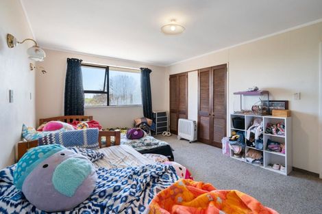 Photo of property in 1 Graham Street, Shannon, Levin, 4821