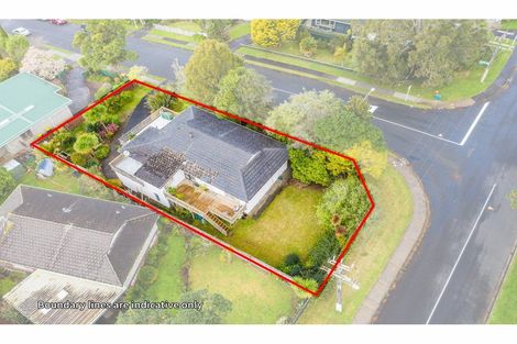 Photo of property in 44 Shetland Street, Glen Eden, Auckland, 0602