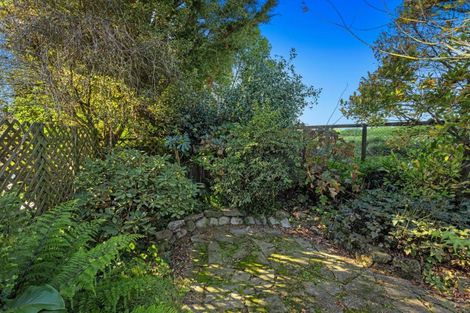 Photo of property in 81 College Road, Edgecumbe, 3120