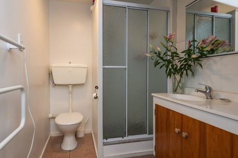 Photo of property in 32 Buffon Street, Waltham, Christchurch, 8023