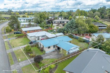 Photo of property in 4 Leeton Drive, Waipukurau, 4200