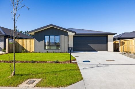 Photo of property in 43 Greig Crescent, Amberley, 7481