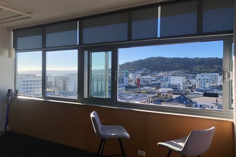 Photo of property in Rostrevor House, 7/130a Vivian Street, Te Aro, Wellington, 6011
