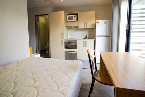 Photo of property in Dual Apartments, 108/142u Vivian Street, Te Aro, Wellington, 6011