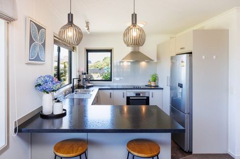 Photo of property in 115 Mount Taylor Drive, Feilding, 4775