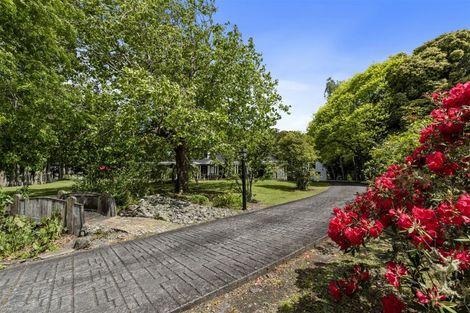 Photo of property in 347 Horseshoe Bush Road, Dairy Flat, Albany, 0794