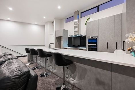 Photo of property in 21u2 Manning Street, Hamilton Central, Hamilton, 3204