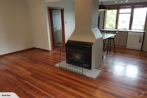 Photo of property in 895 Main Street, Roslyn, Palmerston North, 4414