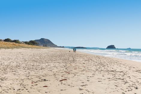Photo of property in 115 Links Avenue, Mount Maunganui, 3116