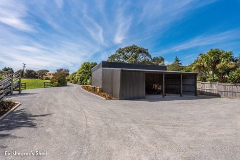 Photo of property in 134 Otaihanga Road, Otaihanga, Paraparaumu, 5036