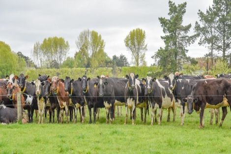 Photo of property in 939 Hudsons Road, Motukarara, Tai Tapu, 7674