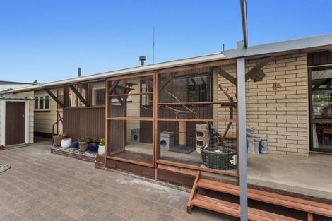 Photo of property in 123 College Road, Edgecumbe, 3120