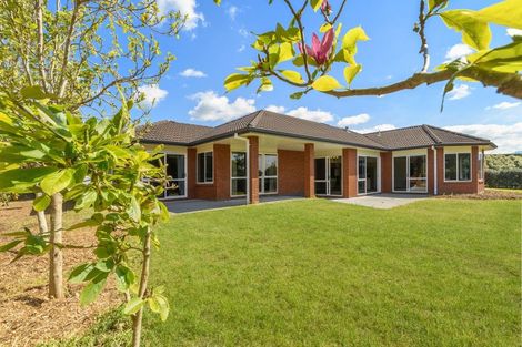 Photo of property in 407 Youngson Road, Whakamarama, Tauranga, 3179