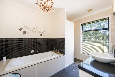 Photo of property in 155b Halcombe Road, Feilding, 4775