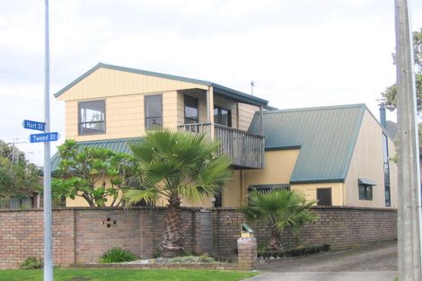 Photo of property in 26a Tweed Street, Mount Maunganui, 3116