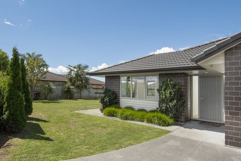 Photo of property in 17 Hoggard Place, Katikati, 3129