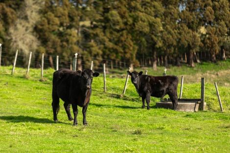 Photo of property in 154b Maramarahi Road, Thames, 3578