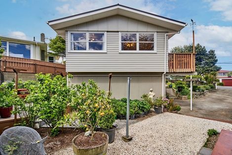 Photo of property in 50 Mark Avenue, Paparangi, Wellington, 6037
