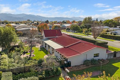 Photo of property in 19 Alma Street, Renwick, 7204