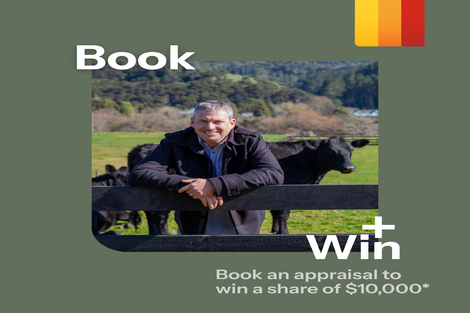 Photo of property in 194 Proctor Road, Orini, Taupiri, 3792