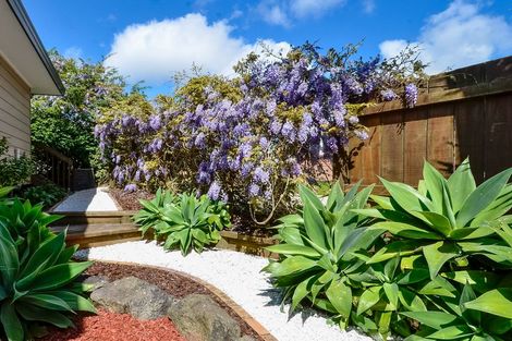 Photo of property in 58b Don Buck Road, Massey, Auckland, 0614