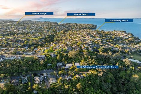 Photo of property in 45 Pohutukawa Avenue, Shelly Park, Auckland, 2014