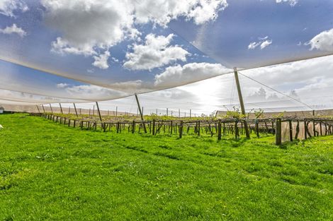Photo of property in 231 Walford Road, Aongatete, Katikati, 3181