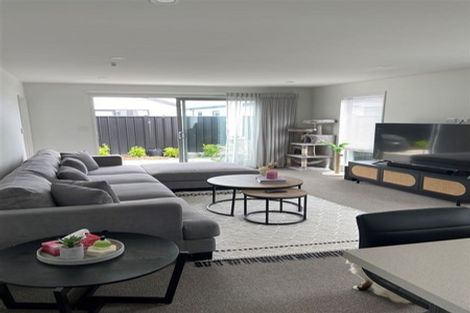 Photo of property in 17 Hancox Street, Kaiapoi, 7630