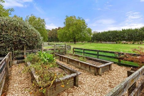 Photo of property in 248a Tauwhare Road, Tamahere, Hamilton, 3283