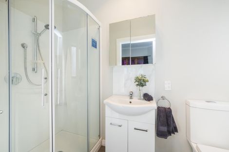 Photo of property in 849 Main Street, Roslyn, Palmerston North, 4414