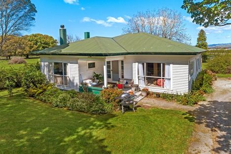 Photo of property in 68 Willows Road, Matawhero, Gisborne, 4071