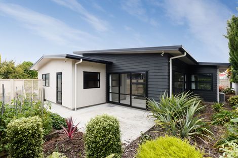 Photo of property in 116a Roy Street, Palmerston North, 4410