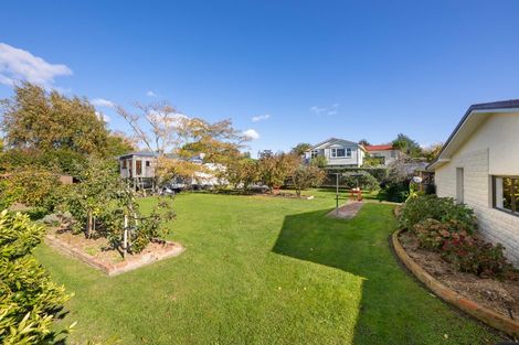 Photo of property in 19 Alma Street, Renwick, 7204
