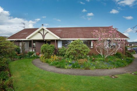 Photo of property in 93 High Street, Mosgiel, 9024