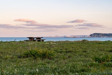 Photo of property in 14 Le Quesne Road, Bay View, Napier, 4104