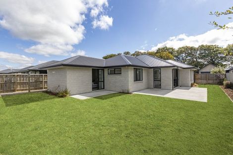Photo of property in 74 Quinn Crescent, Woodend, 7610