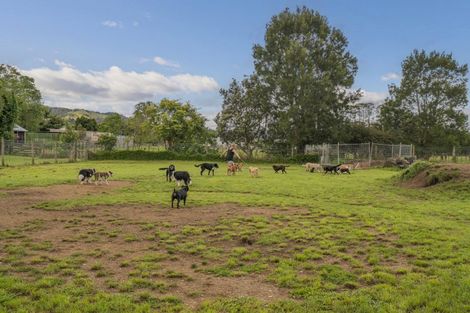 Photo of property in 142a Moewai Road, Whitianga, 3591